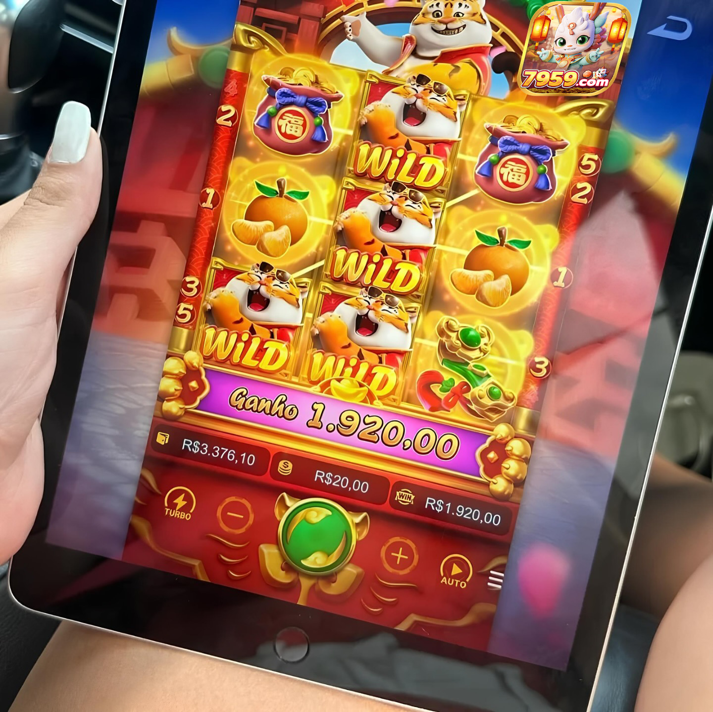 fortune ox demo aposta de 500 